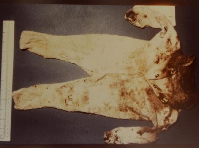 Azaria's Jumpsuit is Found