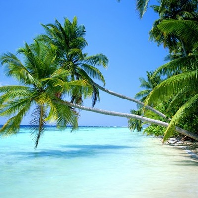 Timeline: MY LIFE(Anais)