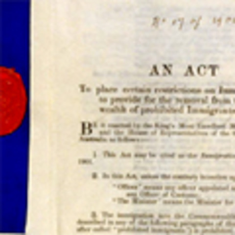 Draft of the constitution