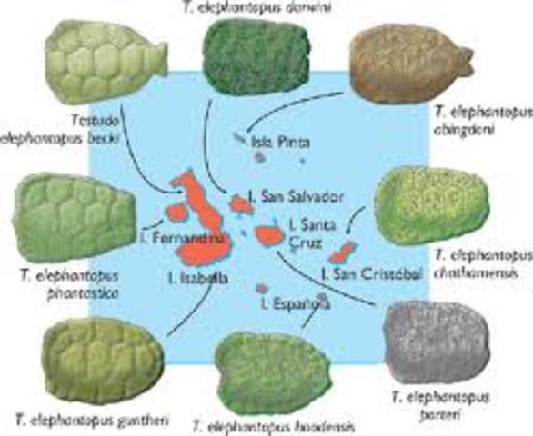 Regreso del viaje del Beagle