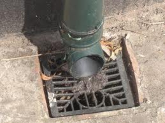 LR9 - Cogent to me (Flood Damage - front drains)
