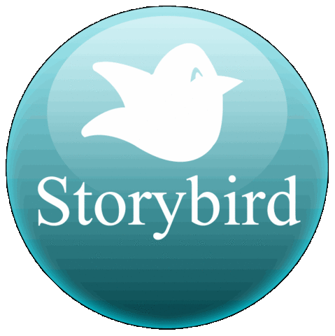 3ME, 5LE and 1/2NE Set Up Storybird Accounts