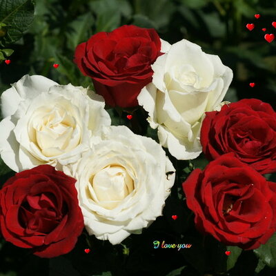 Timeline: Wars of the Roses