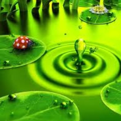 Timeline: Od ponedjeljka do petka