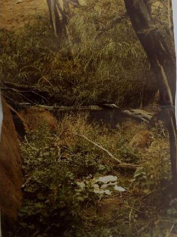 The search for Azaria