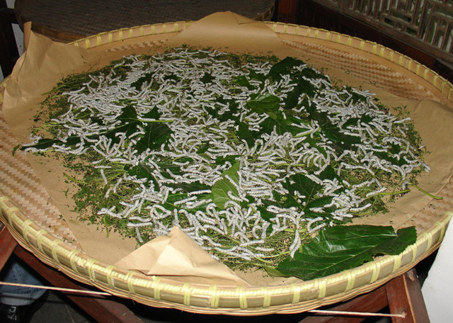 Oldest Silk found in China