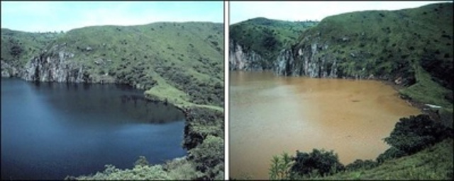 The Lake Nyos Limnic Eruption