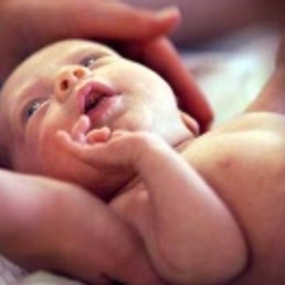 Timeline: Fetal Development Timeline