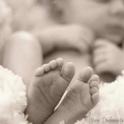 Timeline: Fetal Development Timeline