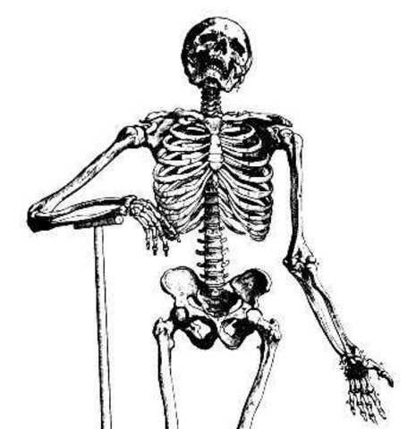 1300 AD, Population, dropped to 443 million