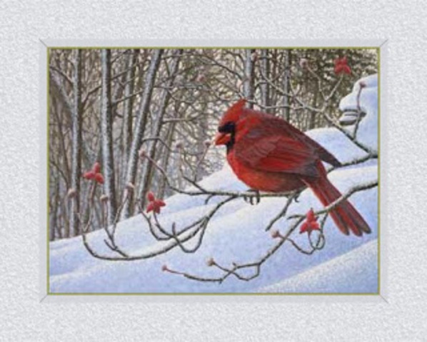 How the red bird got his color: