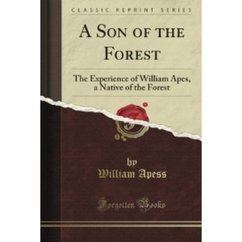 A Son of the Forest