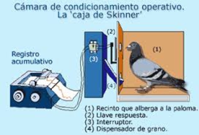 Estudios sobre el aprendizaje