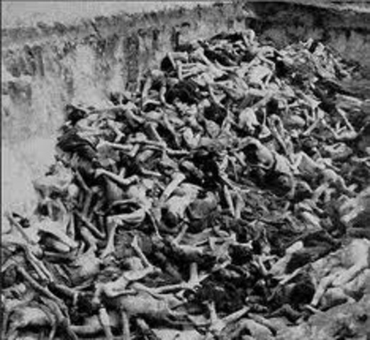 Carbon Monoxide Gassing