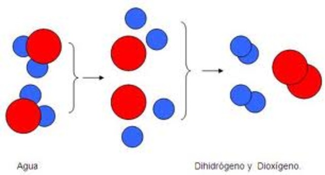 continuacion de sus hallazgos
