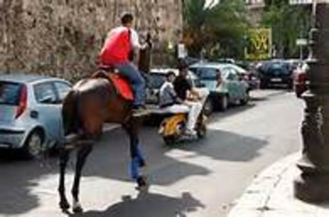 The los of the urban horse