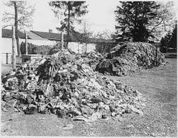 Germany begins euthansing