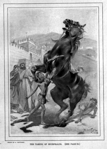 Alexander wins Bucephalus