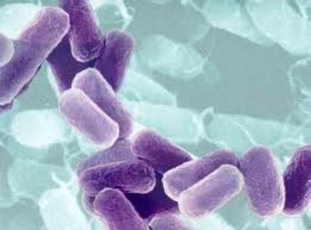 As primeiras formas de vida na Terra