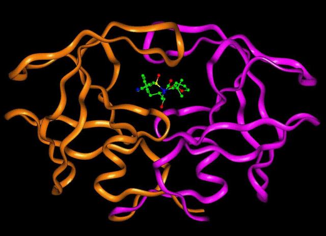 HIV Protease  Inhibitors