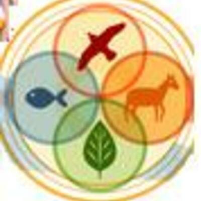 Timeline: Про работу Bepнaдcкoгo в Kapeлии