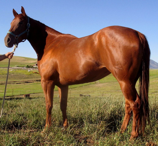 Tomé a Caddy a casa.