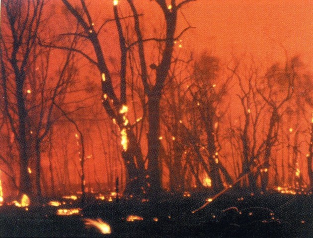 Ash Wednesday - Brooksy