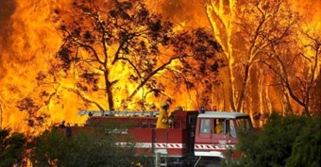 Black thursday - Brooksy