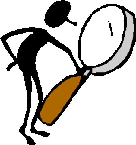 observaciones a los estatutos presentados