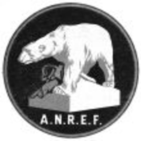 Battle of Bolshie Ozerki