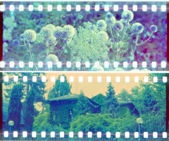 C-41 color negative process