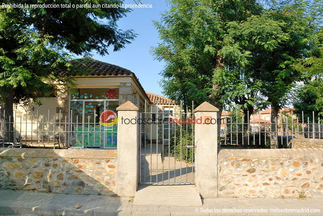 Empecé en el colegio de mayores, Primaria.
