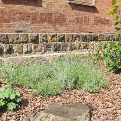 Timeline: Historia krótka naszego ogródka