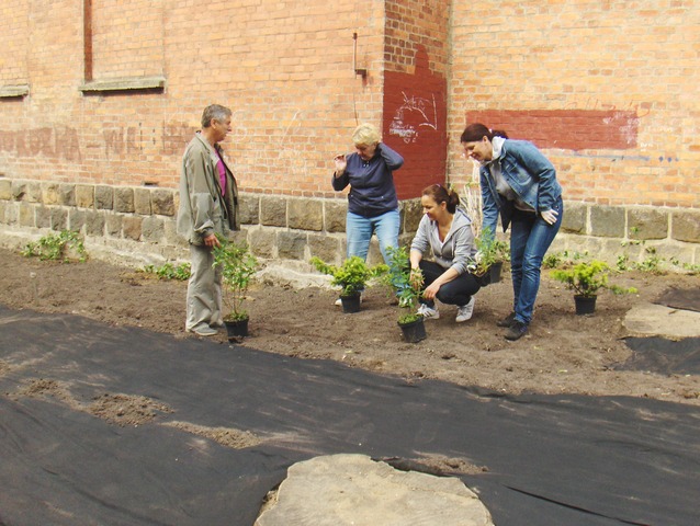 W maju dorośli posadzili różne rośliny.