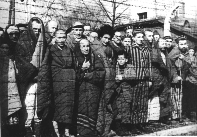 Liberation of Auschwitz
