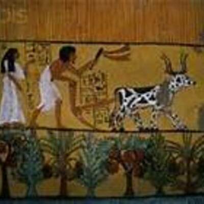 Timeline: Toffler's Wave Theory