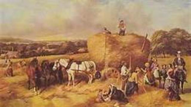 Wave 1: Agricultural Revolution 8000 bc-1750