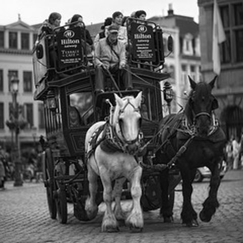 Tita goes to live with Doctor John