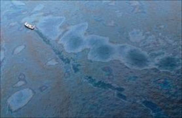 Gulf of mexico oil spill