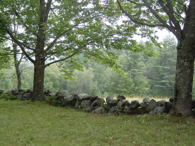 "Mending Wall" by Robert Frost