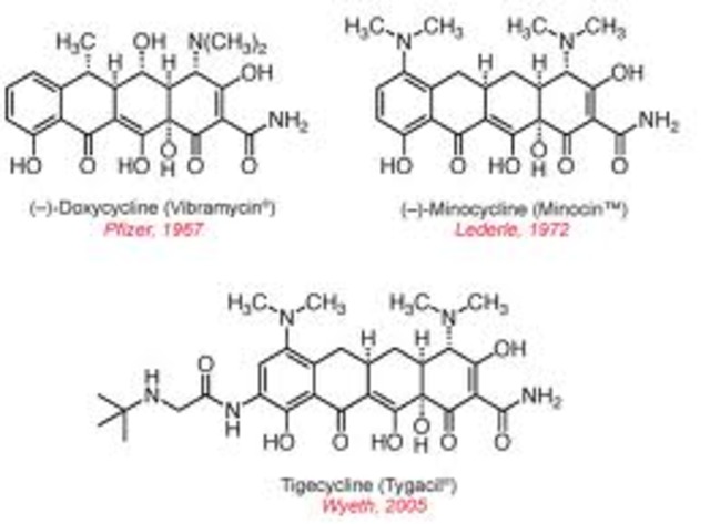 Tetracycline