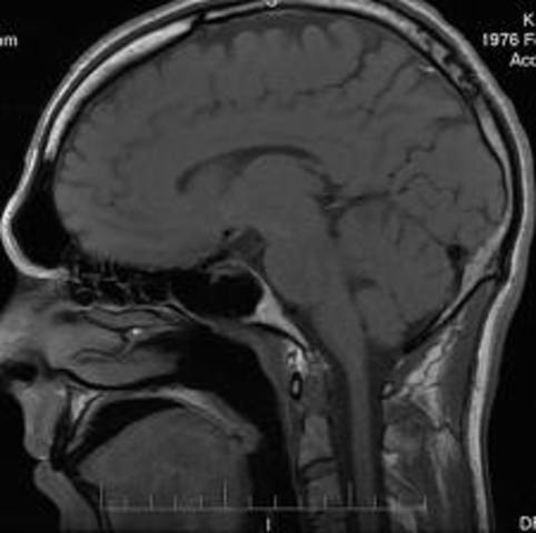 Graduated high school