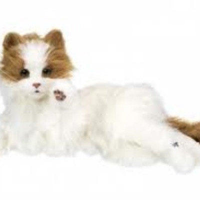 Timeline: Technology Advances in the 2000s