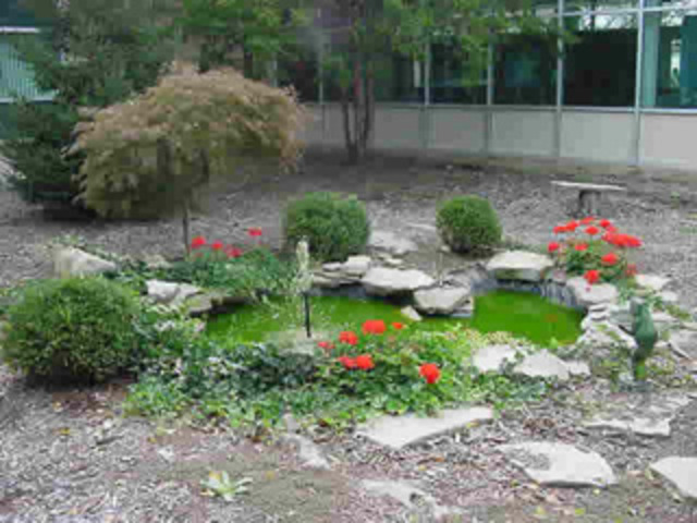 First day of Middle-school