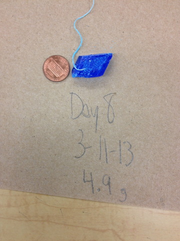 DAY 8 5.9 Grams