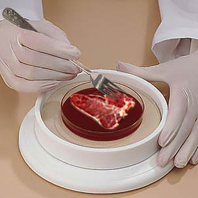 Timeline: Science Internal Assessment 90926/90951: Should NZ Scientists experiment with growing synthetic meat in labs?