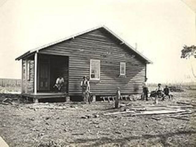 Free Settler Life: Cont.