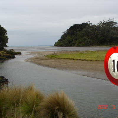 Timeline: Inquiry Homework