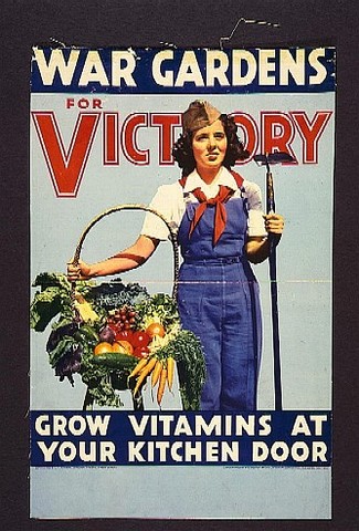 ch.18 sec. 1 Victory Garden