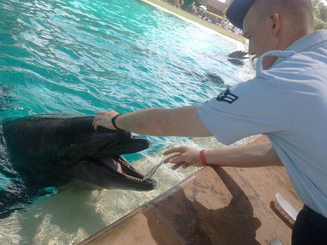 Graduate Basic Training